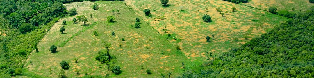 Safeguarding the future of the tropics