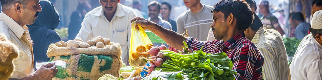 Consumers, development, and the future of wellbeing