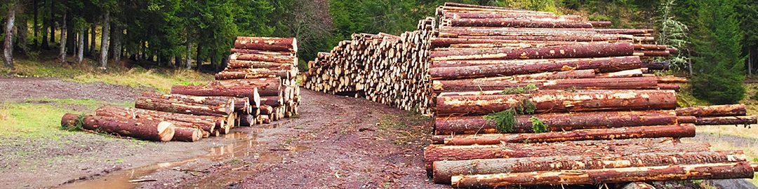 Alleviating the tragedy of the commons
